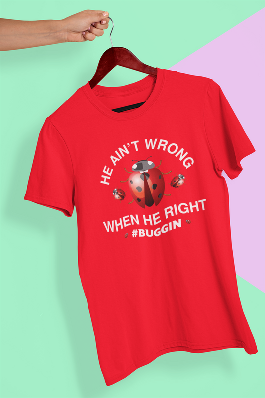 Ladybug “He ain’t wrong when he right” T-shirt
