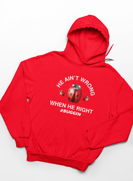 Ladybug Hoodie
